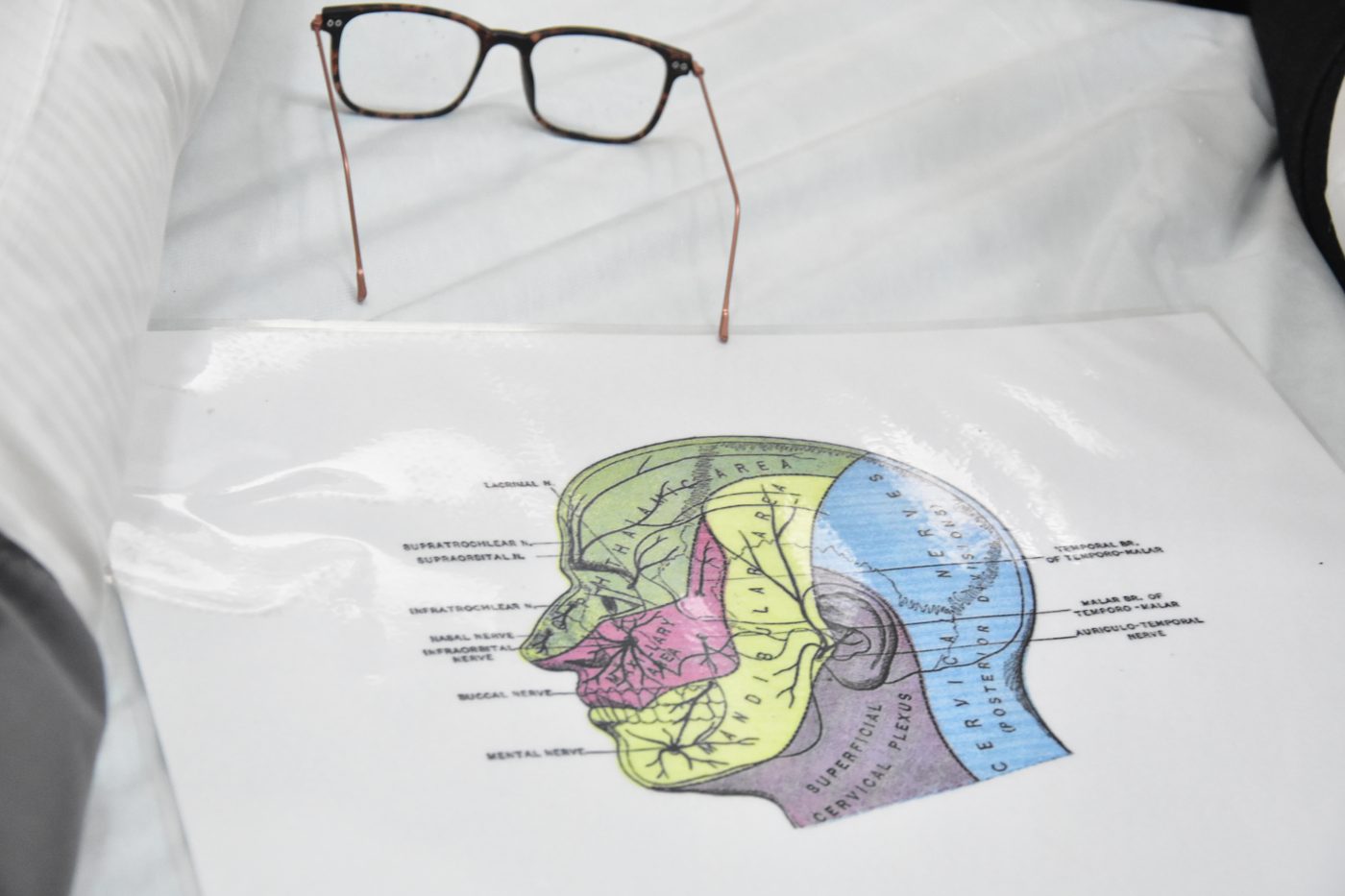 Mapa anatómico de nervios periféricos utilizado como referencia en el curso PIT